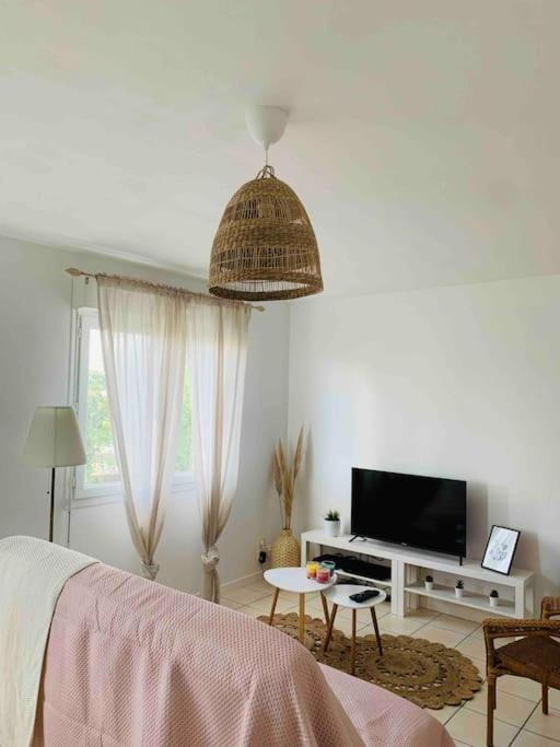 Appartement T3 Tarnos Cosy Proche De La Plage Ngoại thất bức ảnh
